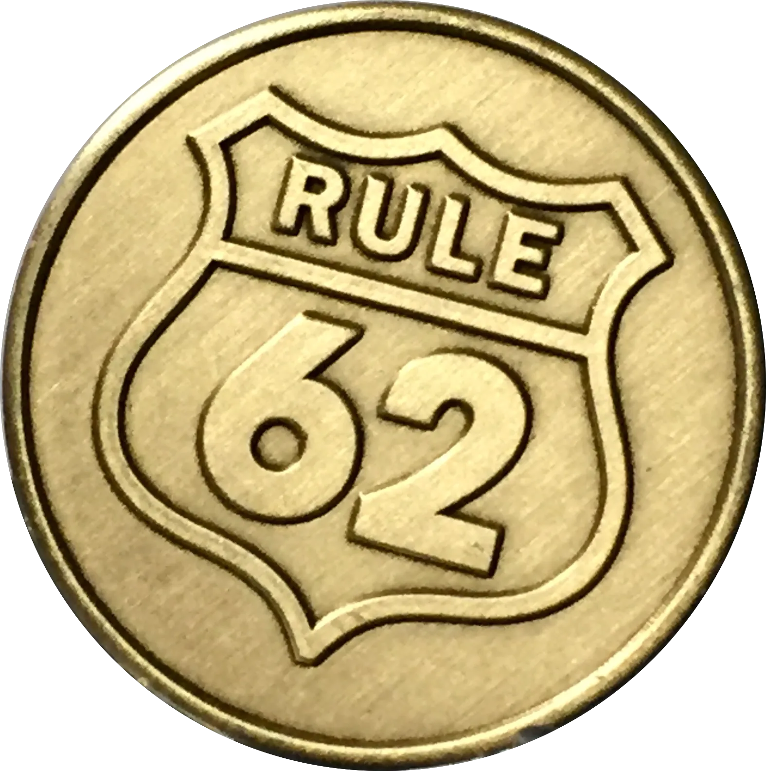 Bulk Lot of 25 - Rule 62 Don't Take Yourself Too Damn Serious AA Chip Sobriety Medallion RecoveryChip Design